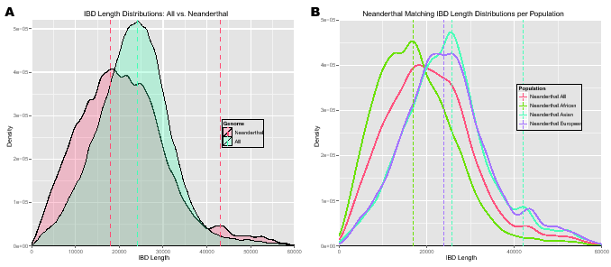 \begin{figure}\centering
\includegraphics[width=0.48\textwidth]{/system/user/hoc...
...nkage/paper/neanderthalManuscripts/eps/IBDlengthDensityNeanderPop}\end{figure}