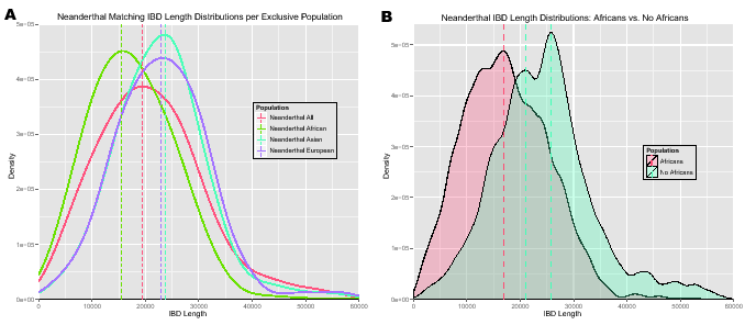 \begin{figure}\centering
\includegraphics[width=0.48\textwidth]{/system/user/hoc...
...nderthalManuscripts/eps/IBDlengthDensityNeandertalAfrica-NoAfrica}\end{figure}