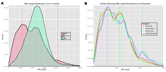 \begin{figure}\centering
\includegraphics[width=0.48\textwidth]{/system/user/hoc...
...nkage/paper/neanderthalManuscripts/eps/IBDlengthDensityArchaicPop}\end{figure}