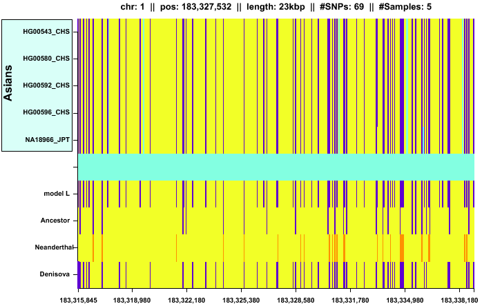 \begin{figure*}\centering
\includegraphics[width=\textwidth]{/system/user/hochreit/linkage/paper/neanderthalManuscripts/eps/denisova1}\end{figure*}