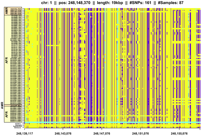 \begin{figure*}\centering
\includegraphics[width=\textwidth]{/system/user/hochreit/linkage/paper/neanderthalManuscripts/eps/denisova2}\end{figure*}