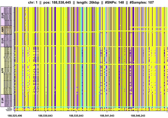 \begin{figure*}\centering
\includegraphics[width=\textwidth]{/system/user/hochreit/linkage/paper/neanderthalManuscripts/eps/denisova3}\end{figure*}