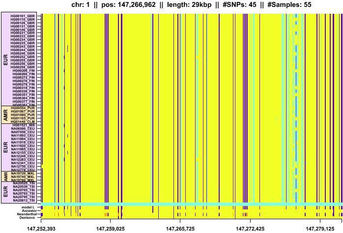 \begin{figure*}\centering
\includegraphics[width=\textwidth]{/system/user/hochreit/linkage/paper/neanderthalManuscripts/eps/neandertal1}\end{figure*}