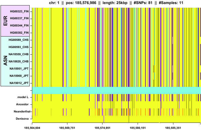 \begin{figure*}\centering
\includegraphics[width=\textwidth]{/system/user/hochreit/linkage/paper/neanderthalManuscripts/eps/neandertal2}\end{figure*}