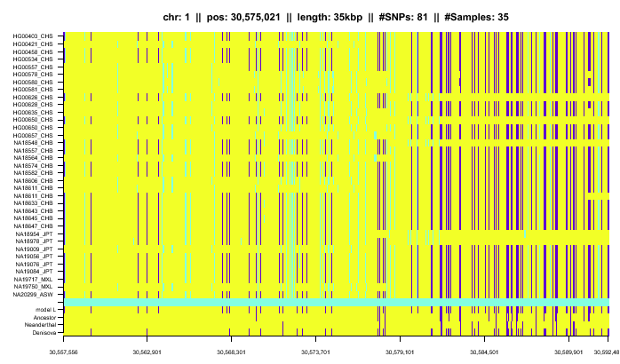 \begin{figure*}\centering
\includegraphics[width=\textwidth]{/system/user/hochreit/linkage/paper/neanderthalManuscripts/eps/denisJap1}\end{figure*}